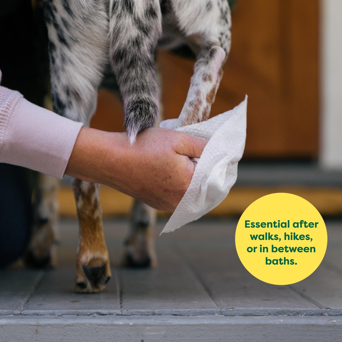 Toallitas hipoalergénicas para Perros, para Limpiar y Eliminar olores de Patas, Cuerpo y Trasero, Cachorros y Perros Adultos, Aroma a Lavanda, 100 Unidades - Creapet Studio
