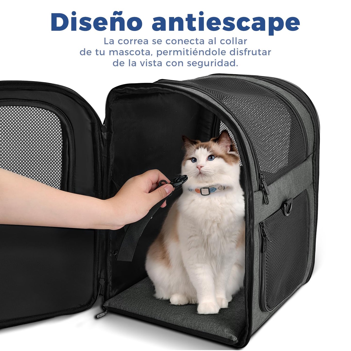 Mochilas para Gatos y Mochilas Perros, para Mascotas Gato Grandes y Pequeñas - Creapet Studio