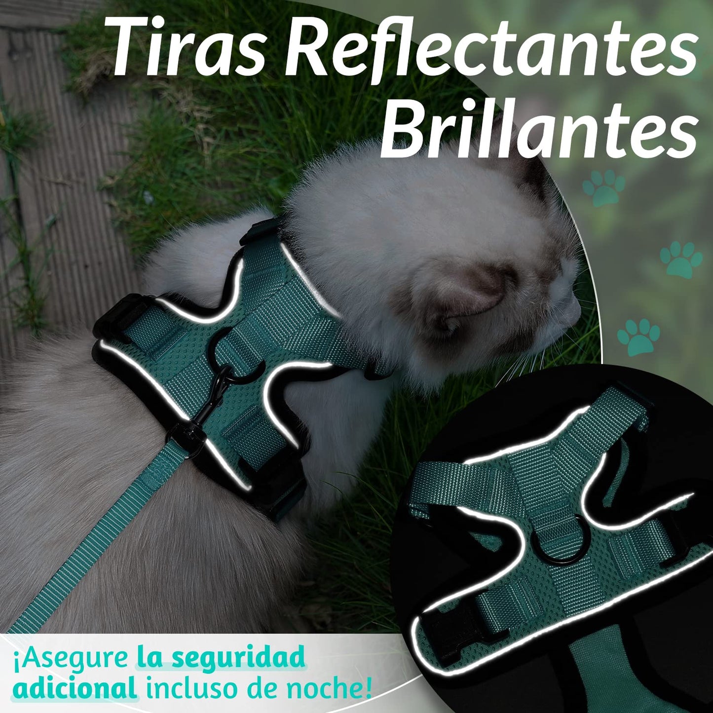 rabbitgoo Arnes para Gatos Antiescape con Correa 150cm, Arnes Gato Ajustable Reflectante, Chaleco de Tela de Malla Suave y Transpirable, Arnés Gato Pequeño para Caminar Entrenar, XS, Verde - Creapet Studio