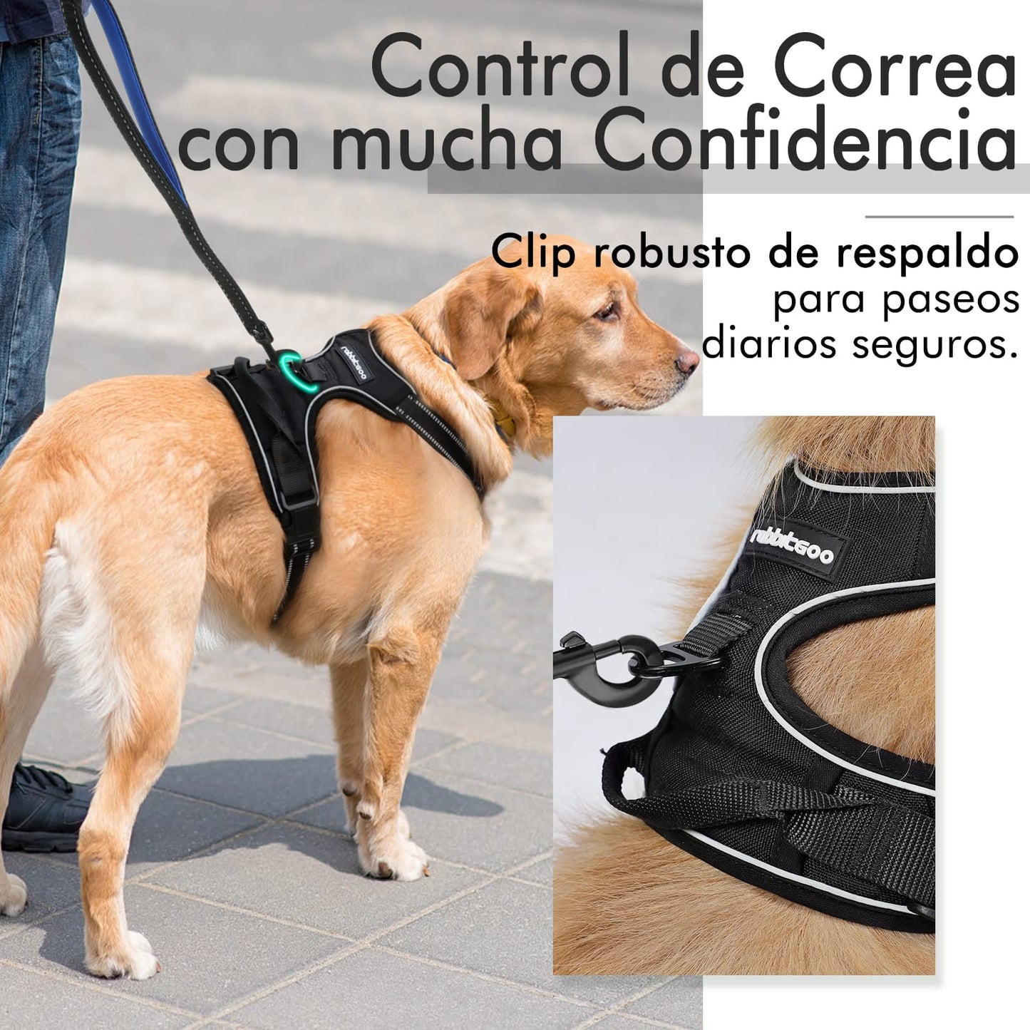 Arnés Antitirones para Perro Grande – Ajustable, Reflectante y Transpirable, Ideal para Coche y Paseo – rabbitgoo Negro - Creapet Studio