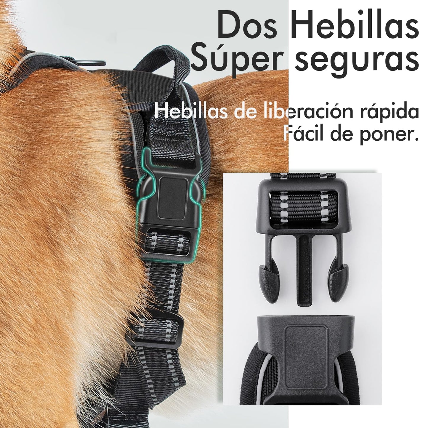 Arnés Antitirones para Perro Grande – Ajustable, Reflectante y Transpirable, Ideal para Coche y Paseo – rabbitgoo Negro - Creapet Studio