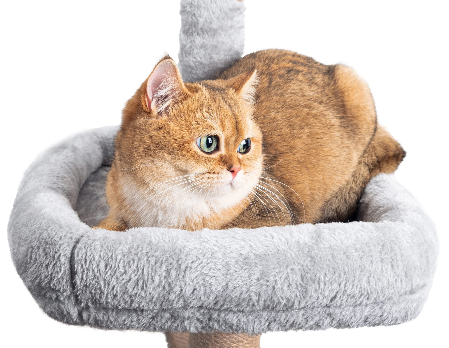 Rascador para Gatos Árbol para Gatos,145cm Rascador, Torre de Escalada, Estable de Varios Niveles, árboles de Actividades con 7 Postes de sisal, 5 Plataformas, 2 nidos - Creapet Studio