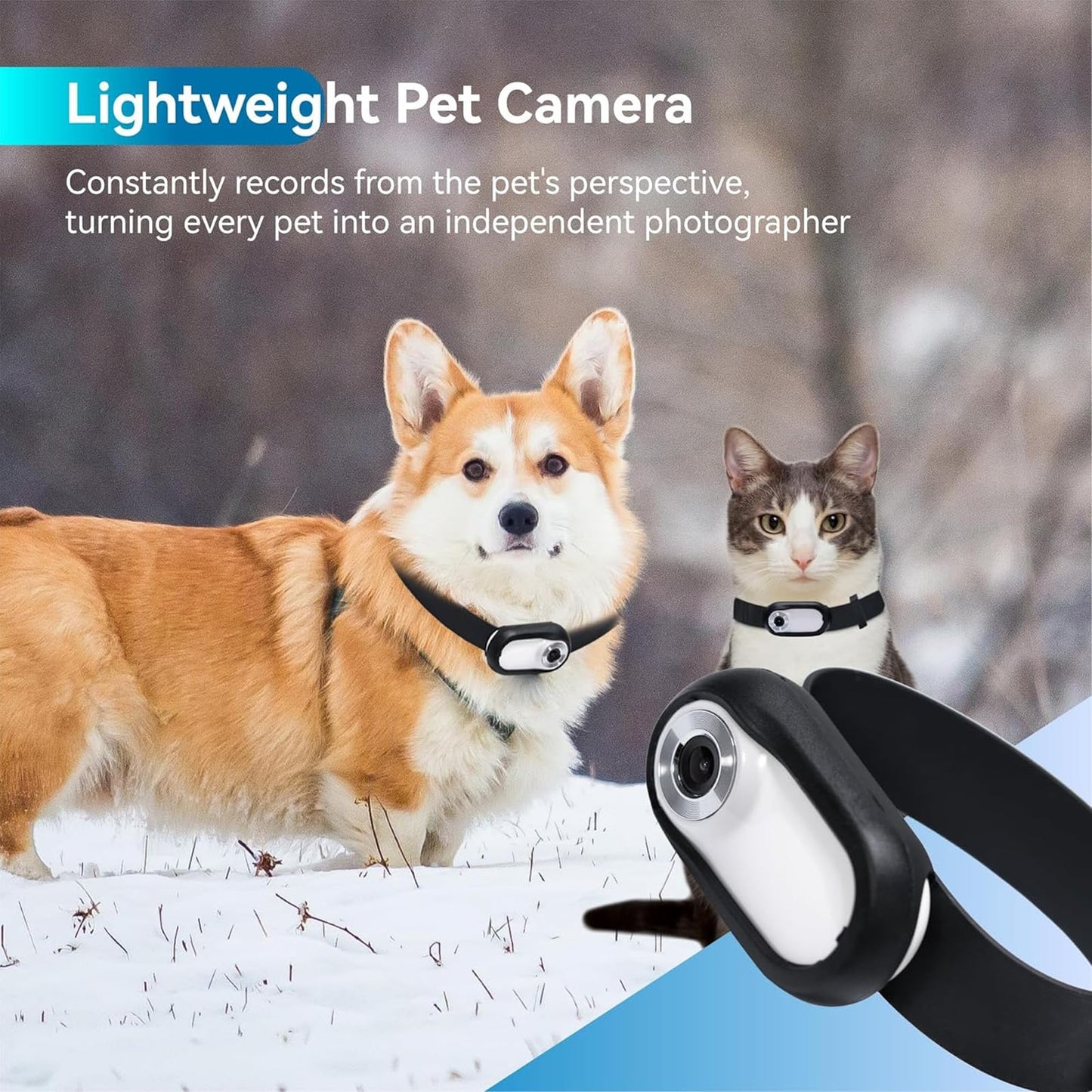 Cámara para Collar de Gato 2025, Cámaras para Mascotas con Gran Angular de 120 Grados - Creapet Studio