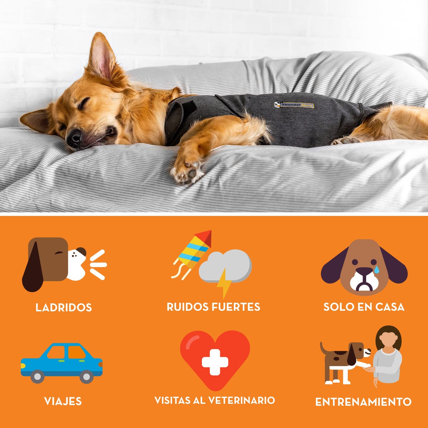 Chaleco Relajante para Perros (Antiestrés, Ayuda a Reducir la ansiedad), Gris, XL - Creapet Studio