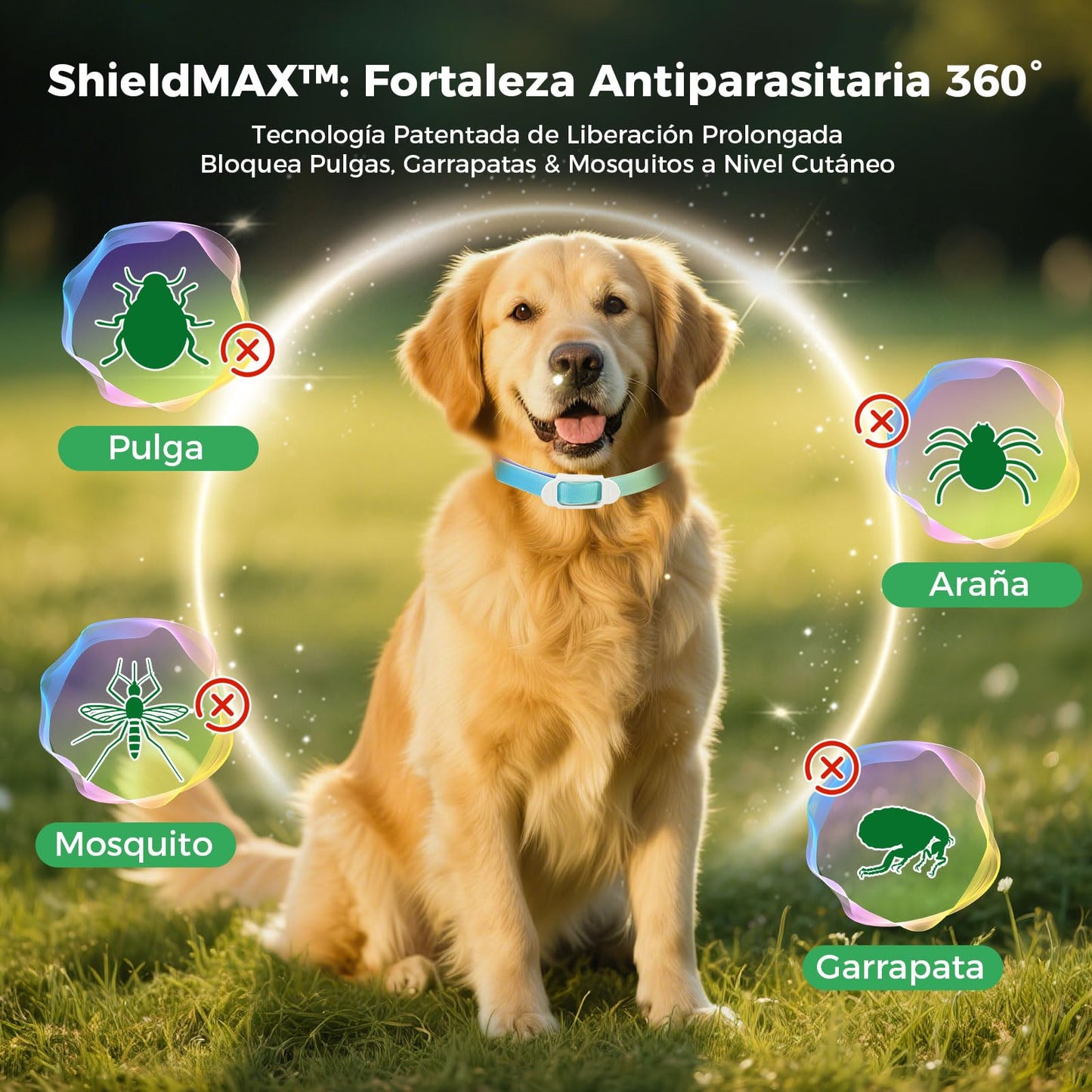 Collar Antiparasitario Natural para Perros