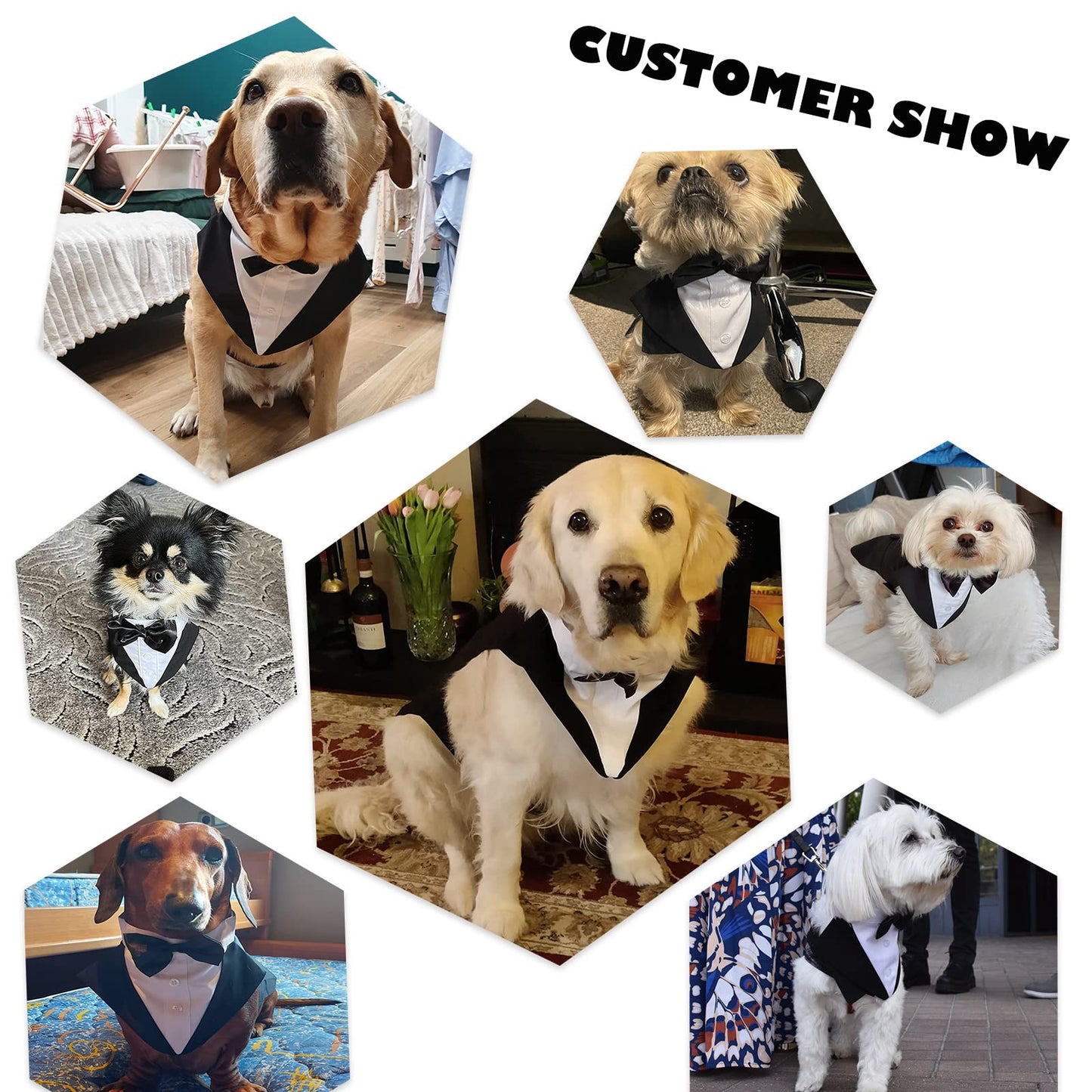 Esmoquin Elegante para Perros