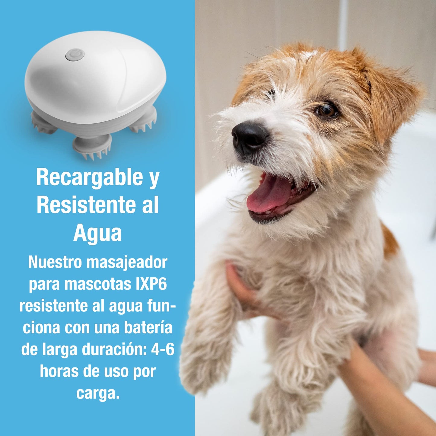 Masajeador de mascotas electro para perros y gatos más viral - Creapet Studio