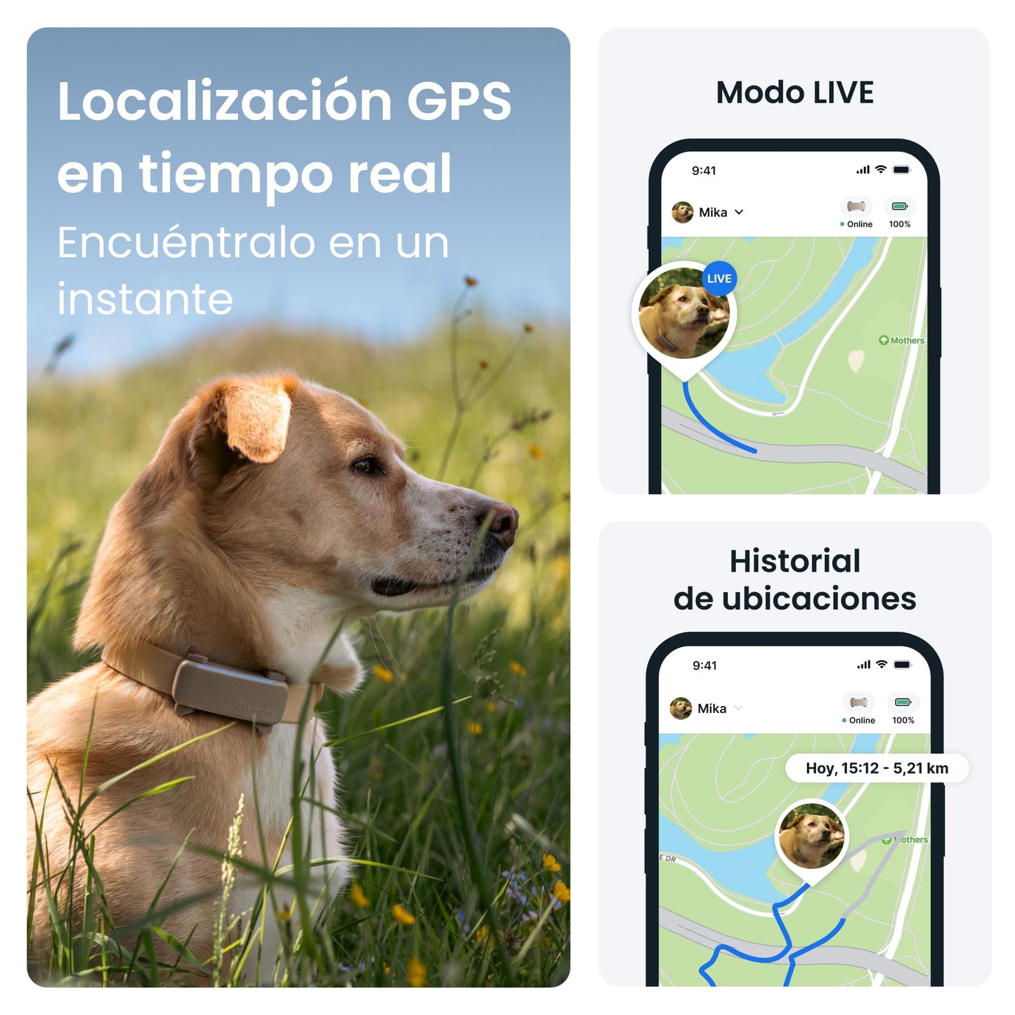 Rastreador con GPS para perros más vendido 2025 - Creapet Studio