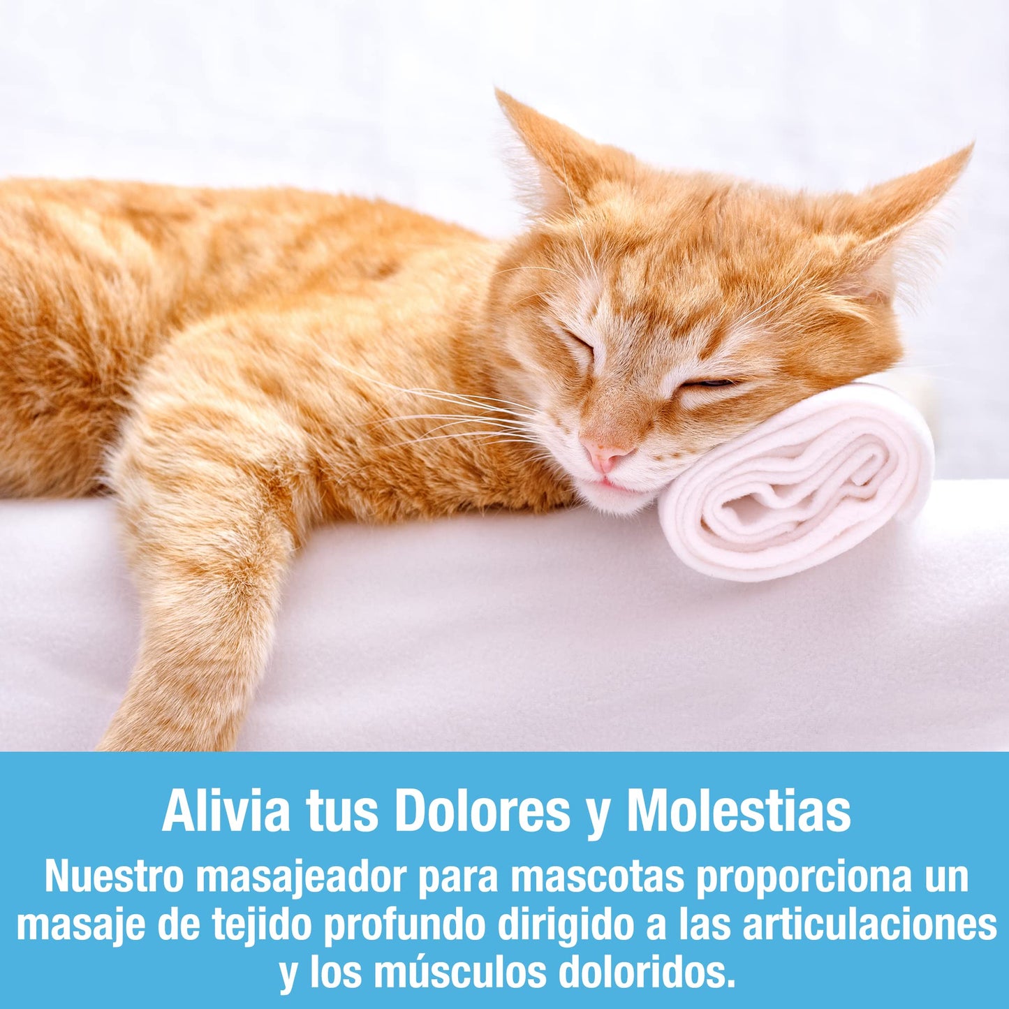 Masajeador eléctrico para gatos - Creapet Studio