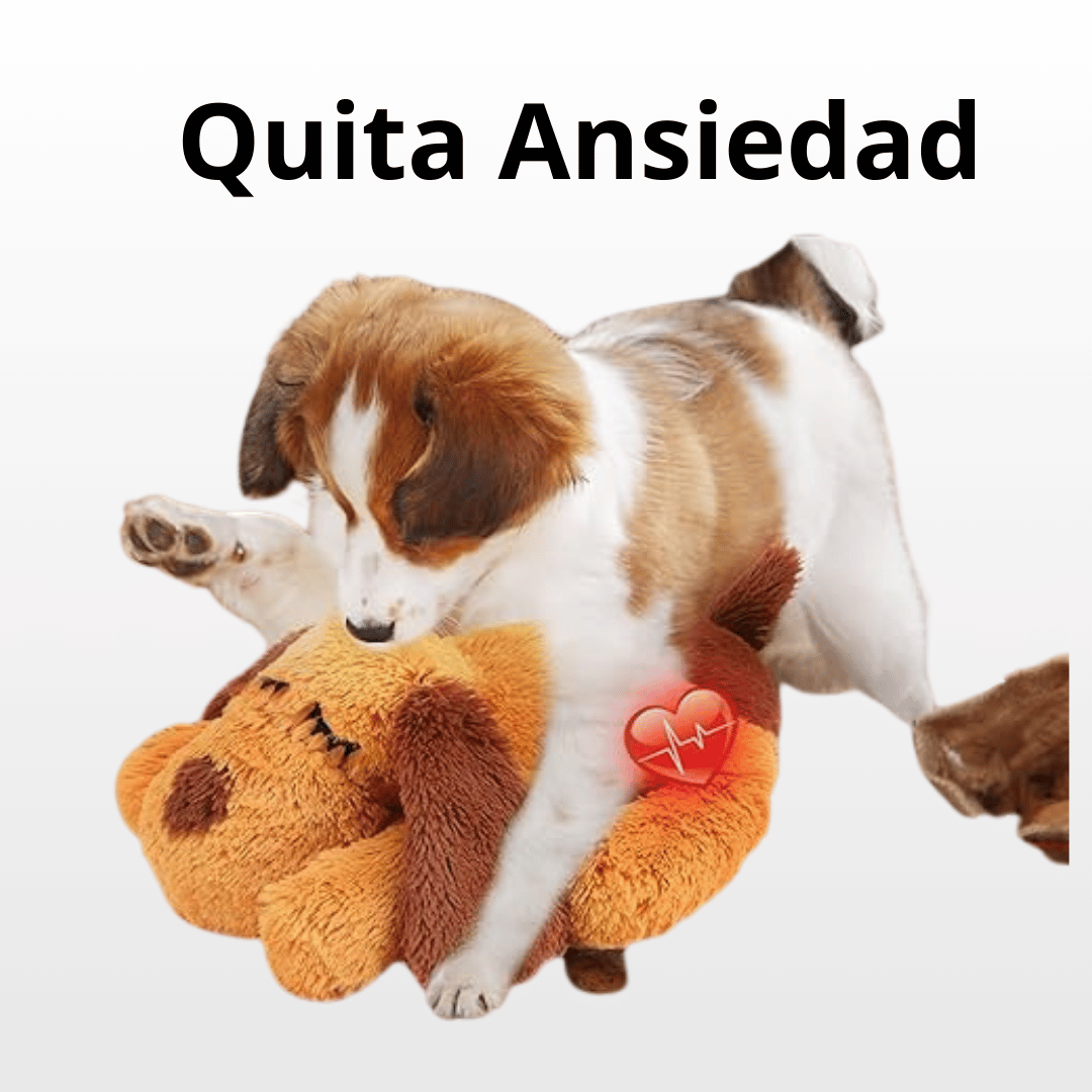 Juguete de latido del corazón para aliviar ansiedad de cachorros