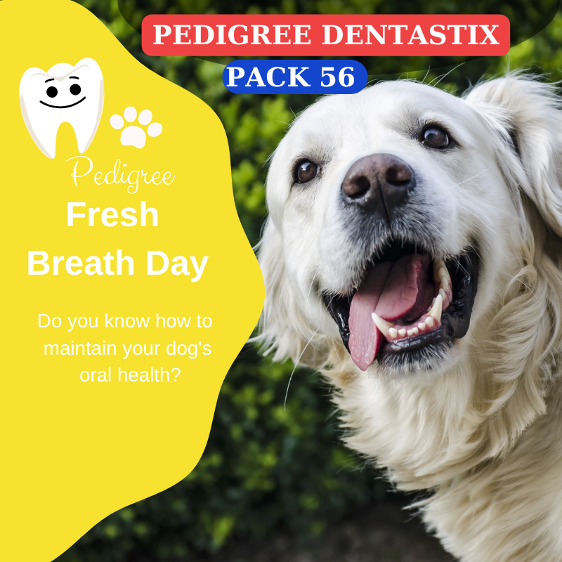 Snack Dental Pedigree Dentastix – Higiene Oral para Perros Medianos (56 unidades) - Creapet Studio