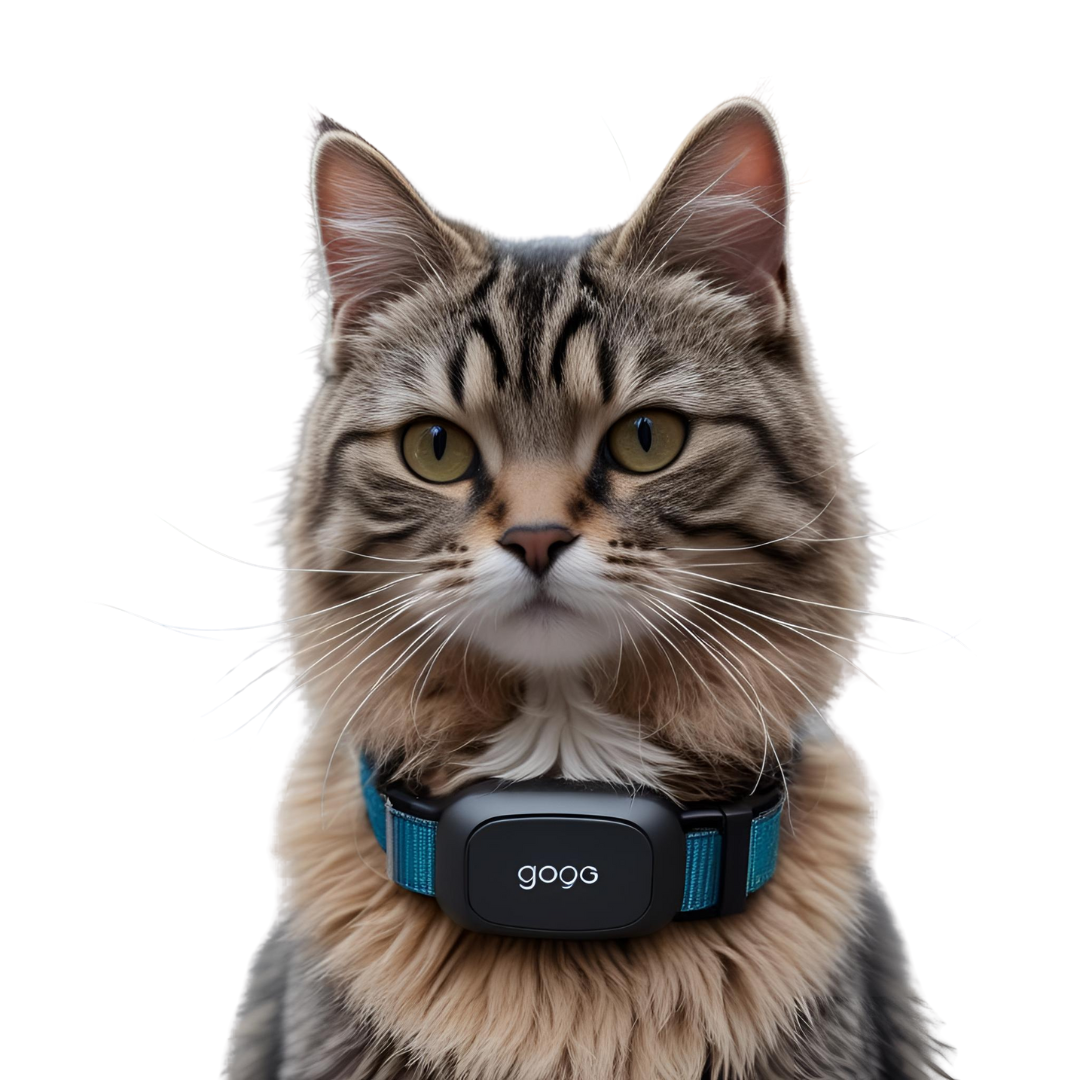 Rastreador para gatos y perros con Google GPS Collar - Creapet Studio