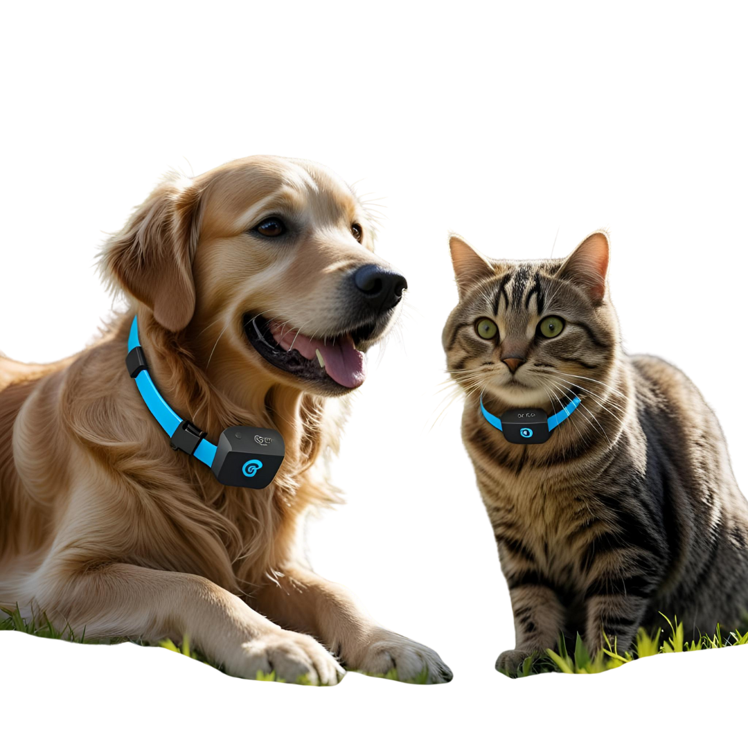 GPS PARA GATOS - Creapet Studio