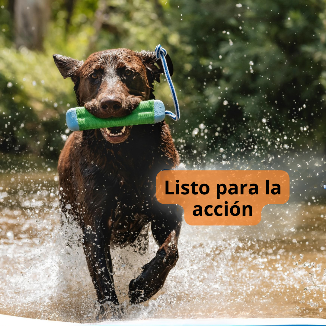 Juguete Flotante para Perros con colores variados