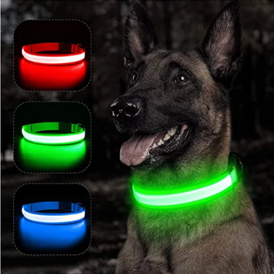 Collar de luz LED para perro mascota