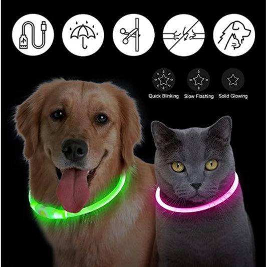 Collar de luz LED para perro mascota