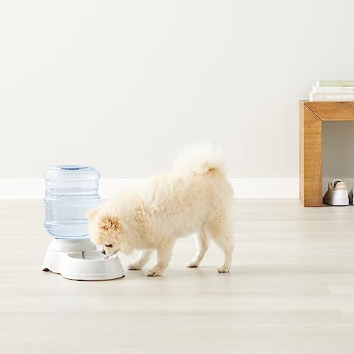 Dispensador de agua, Perros y gatos, 3.8 litros (1 galones), Pequeño, Transparente, Amazon Basics - Creapet Studio