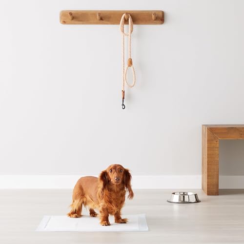 Almohadillas de adiestramiento de Perros y Cachorros, diseño de 5 Capas a Prueba de Fugas con Superficie de Secado rápido, Regular, 50 Unidades, Azul - Creapet Studio