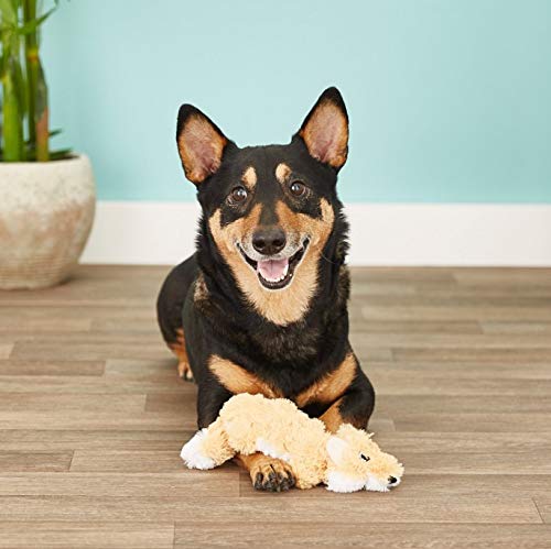 KONG Juguete con cuerdas internas antirrotura