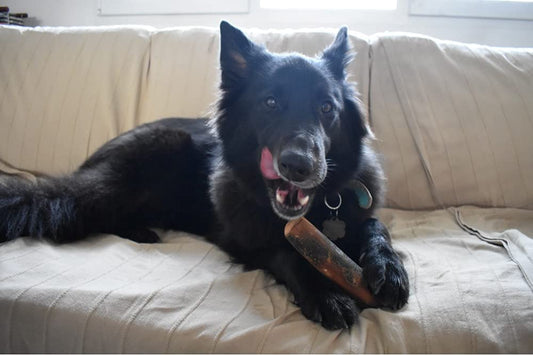 Mordedor natural de madera de olivo para perros grandes – Pack de 2