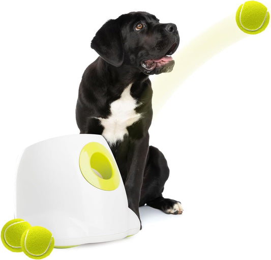 Lanzador Automático de Bolas Interactivo para Perros, máquina de Lanzamiento de Pelotas de Tenis para Perros Grandes, Incluye 3 Bolas (Hyper Fetch Maxi) - Creapet Studio