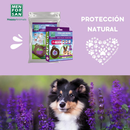 MENFORSAN Collar perros antiparasitario para perros con margosa, geraniol y lavandino, Cítrico, Marrón, 57 cm - Creapet Studio