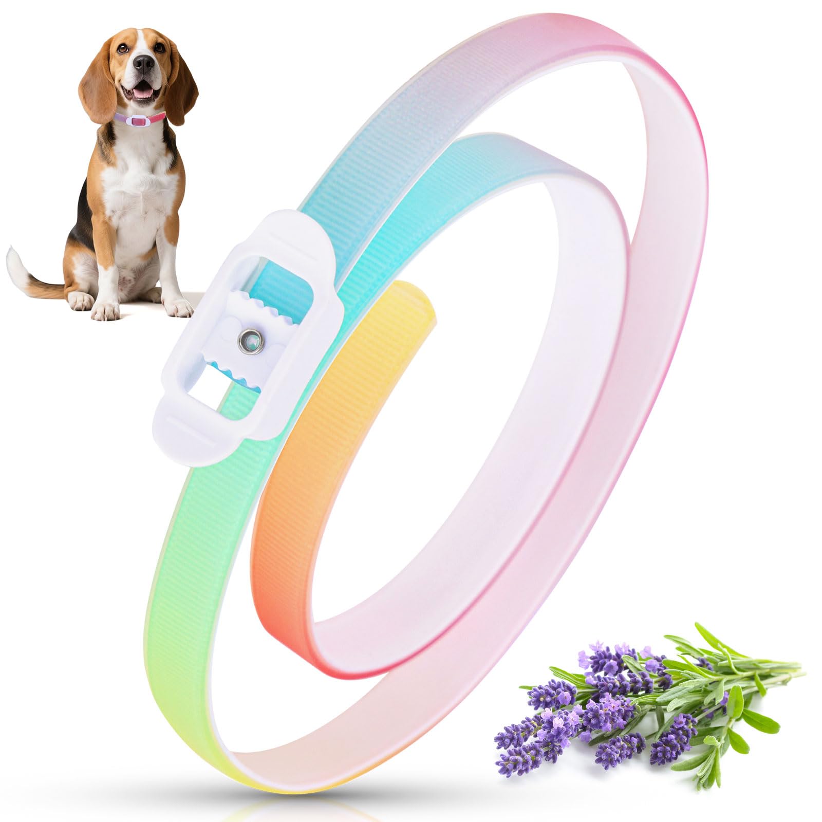 Collar Antiparasitario Natural para Perros 