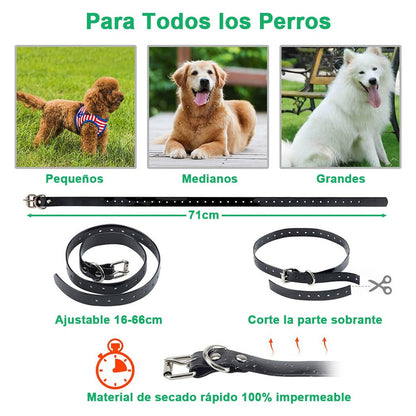 Collar de Adiestramiento para Perros, Collar Electrico Perro Recargable y Impermeable con un Alcance de 1000 Metros, para Perros Pequeños, Medianos y Grandes - Creapet Studio