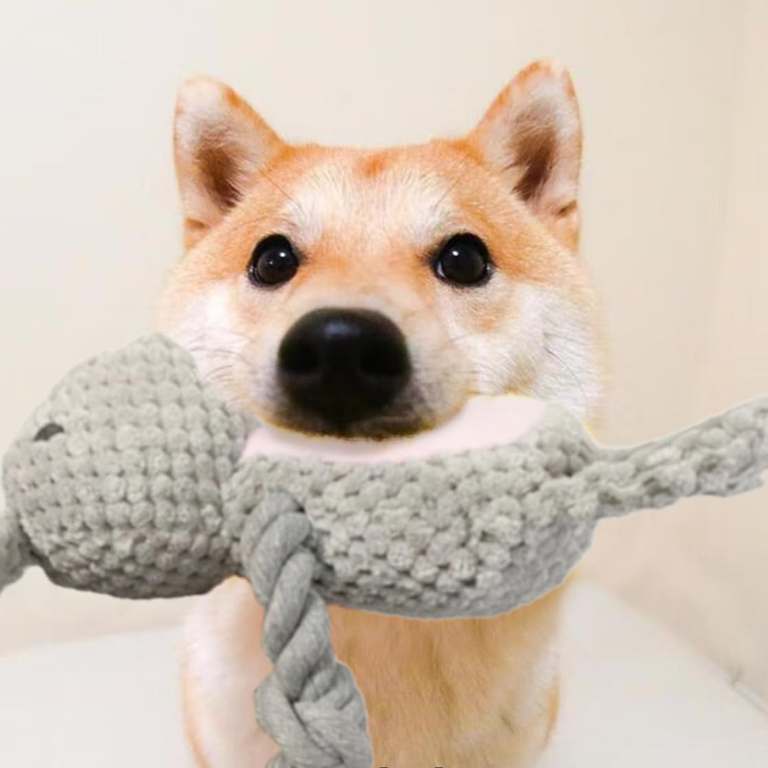 Juguete Chirriante Para Perros