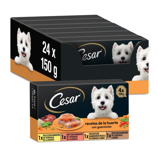 Comida Húmeda para Perros, Recetas de la Huerta en Paté y Gelatina, Multipack (Pack de 6 x 4 Tarrinas x 150g) - Creapet Studio