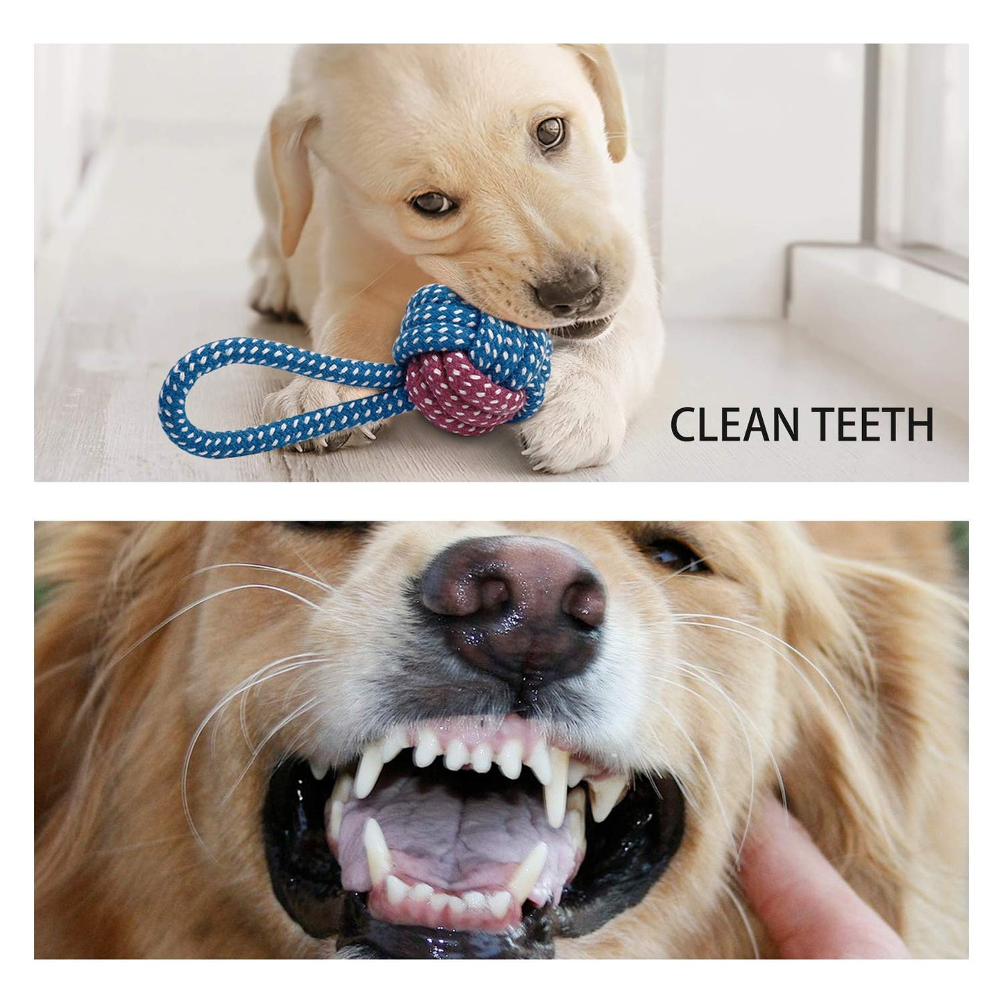 Juguetes masticable para Perros con pack de 7