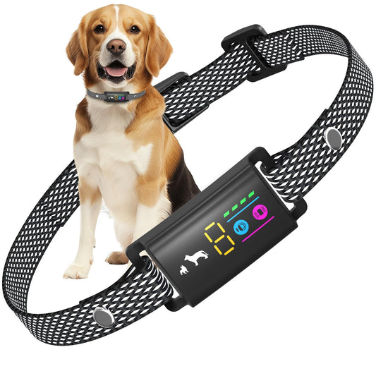 Collar Antiladridos Resistente al Agua LOSLAI – IP67, Pitido y Vibración, Ajustable con 5 Niveles de Sensibilidad, para Todo Tipo de Perros - Creapet Studio