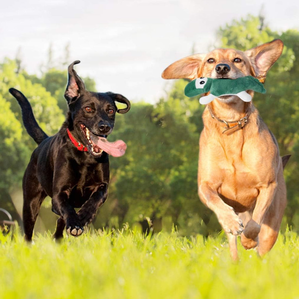 Juguetes para Perros chirriantes para cachorros pequeños y medianos Pack 12