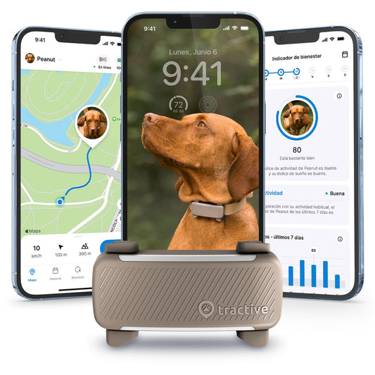 Rastreador con GPS para perros más vendido 2025 - Creapet Studio