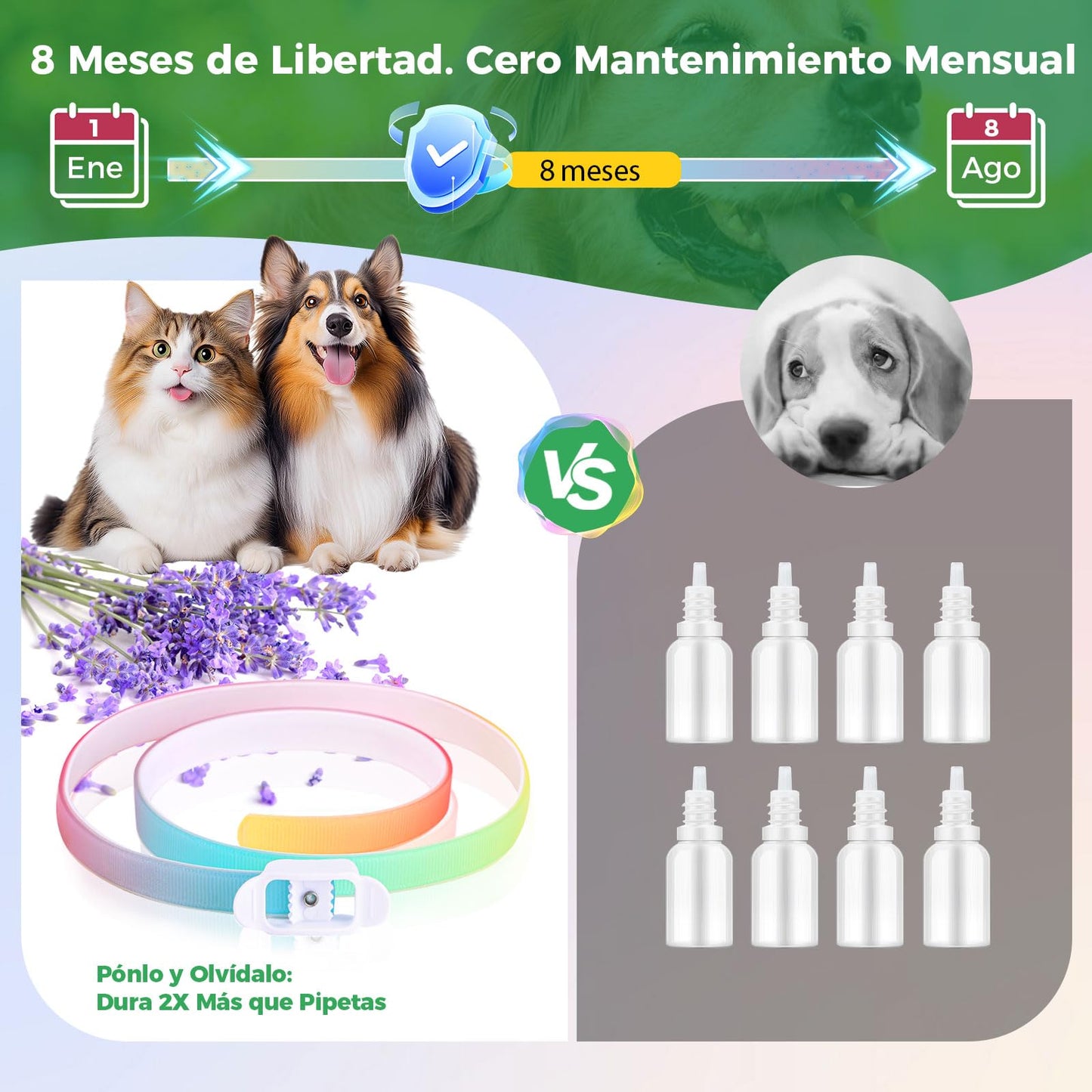 Collar Antiparasitario Natural para Perros