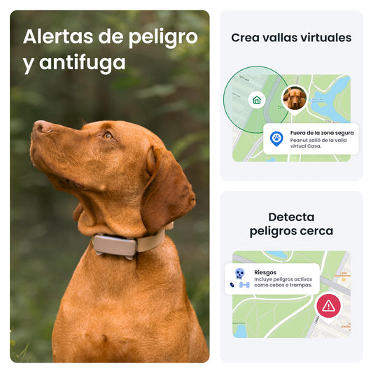 Rastreador con GPS para perros más vendido 2025 - Creapet Studio