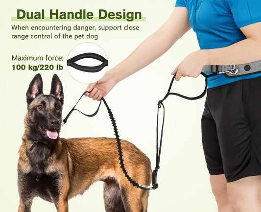 Correa para Perro pecute con Manos Libres para Perros hasta 110 kg de absorción de Choque, cómoda, Costura Reflectante, Ideal para Correr, Correr y Caminar - Creapet Studio