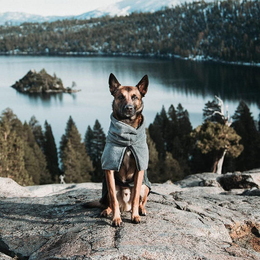 Abrigo para Perro Invierno, Cálido Forro Polar para Exteriores con Bufanda De Cuello Alto, Rayas Reflectantes, Chaleco Resistente Al Viento, Juegos Suaves para Mascotas - Creapet Studio