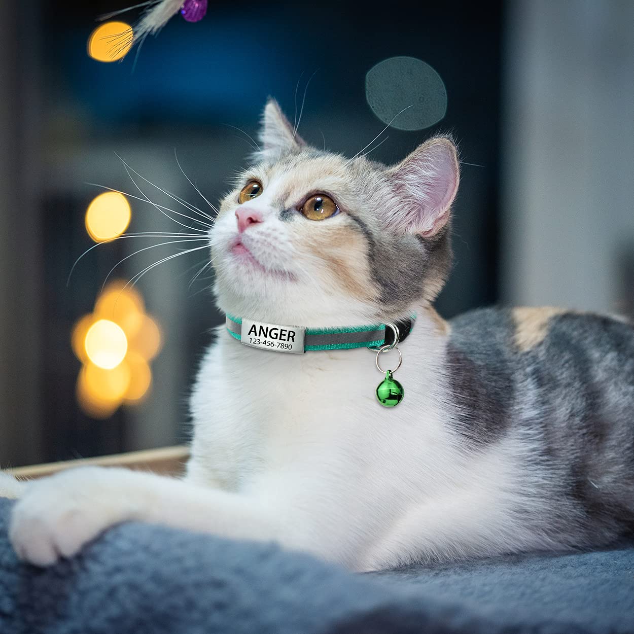 TagME Collar de Gato Personalizado, Reflectante Collares para Gatos con Cascabeles y Hebilla Seguro de Liberación Rápida, 2 Piezas Turquesa - Creapet Studio