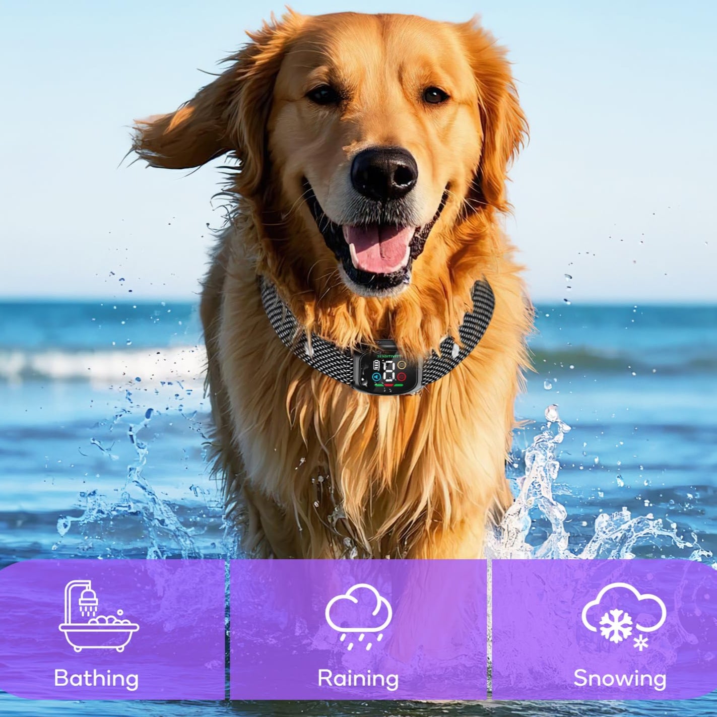 Collar Antiladridos para Perros