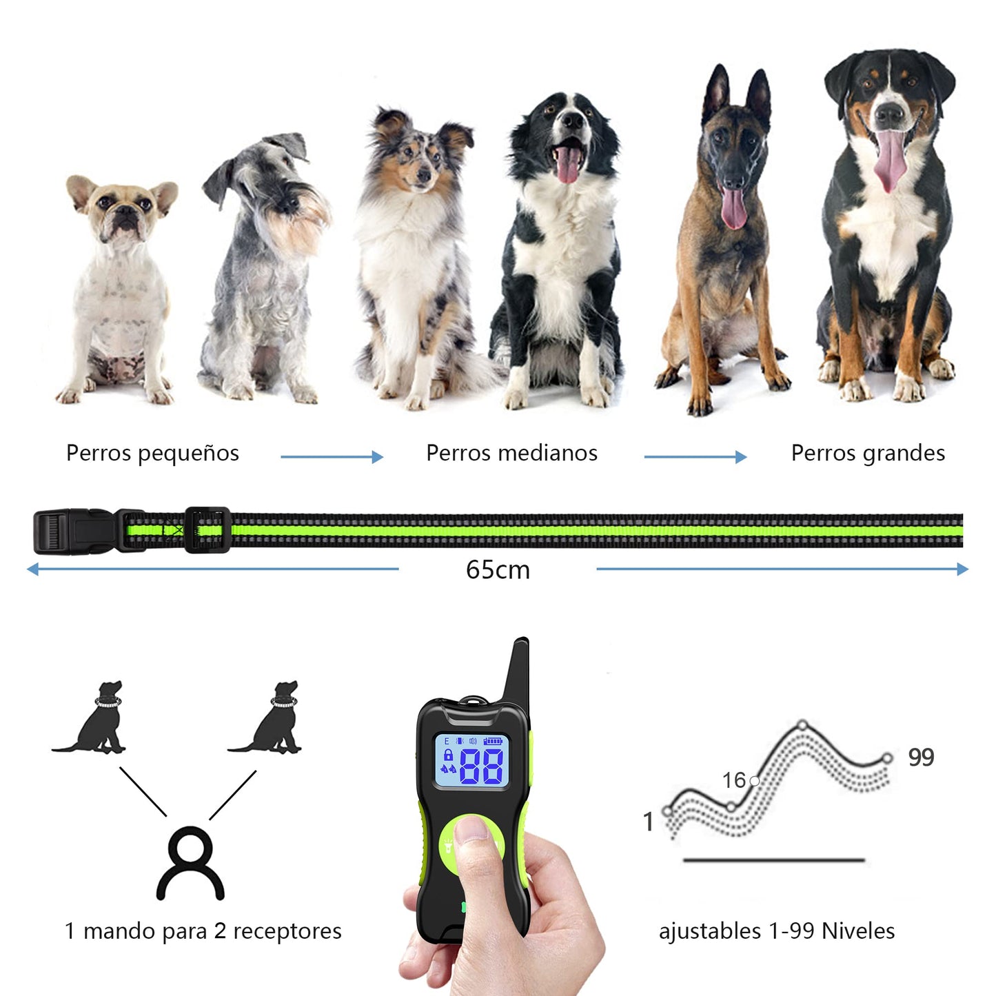 El mejor Collar de Adiestramiento para Perros - Creapet Studio