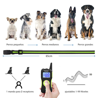 El mejor Collar de Adiestramiento para Perros - Creapet Studio