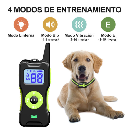 El mejor Collar de Adiestramiento para Perros - Creapet Studio