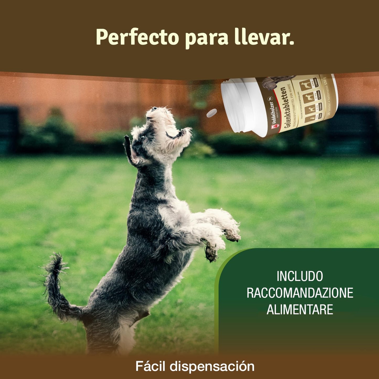 Comprimidos condroprotector Perros para articulaciones