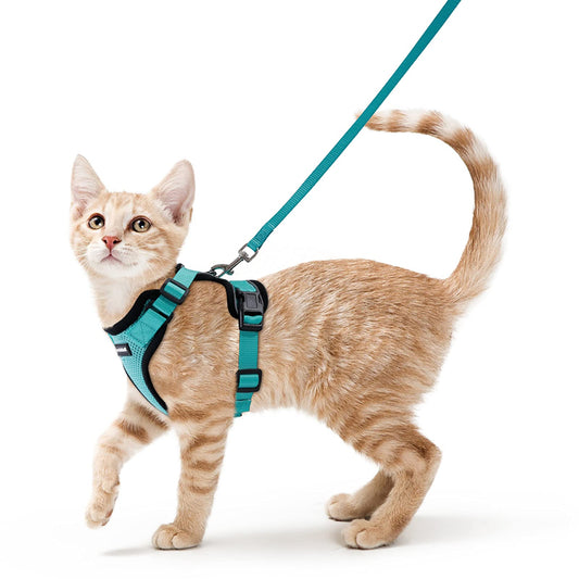 rabbitgoo Arnes para Gatos Antiescape con Correa 150cm, Arnes Gato Ajustable Reflectante, Chaleco de Tela de Malla Suave y Transpirable, Arnés Gato Pequeño para Caminar Entrenar, XS, Verde - Creapet Studio