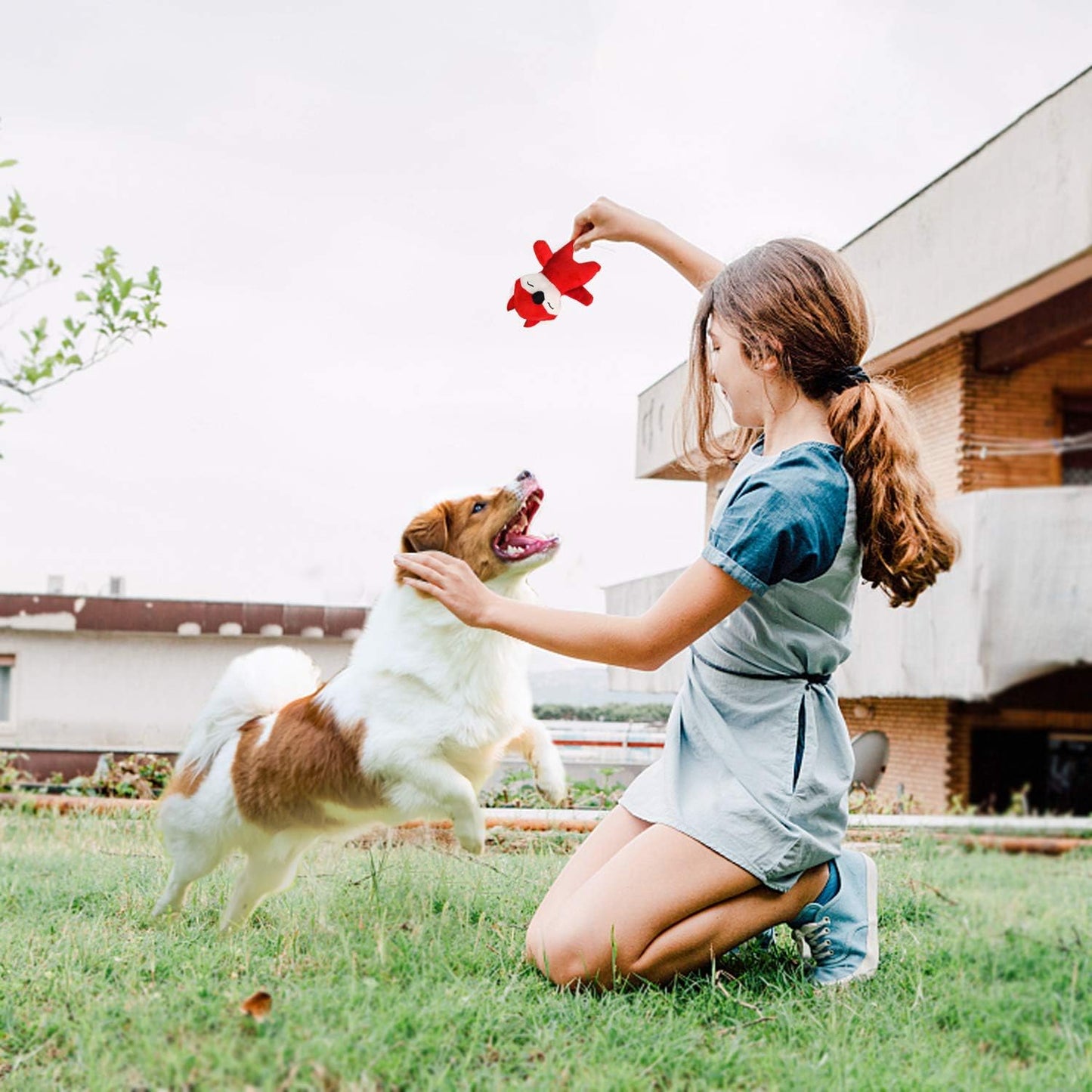 Juguetes para Perros chirriantes