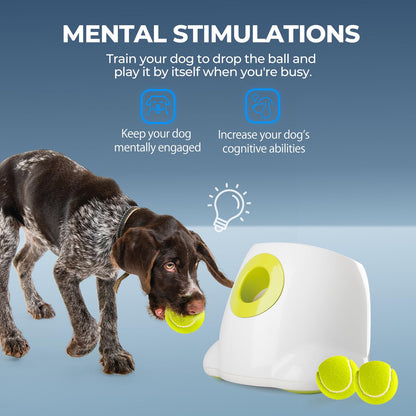 Lanzador Automático de Bolas Interactivo para Perros, máquina de Lanzamiento de Pelotas de Tenis para Perros Grandes, Incluye 3 Bolas (Hyper Fetch Maxi) - Creapet Studio