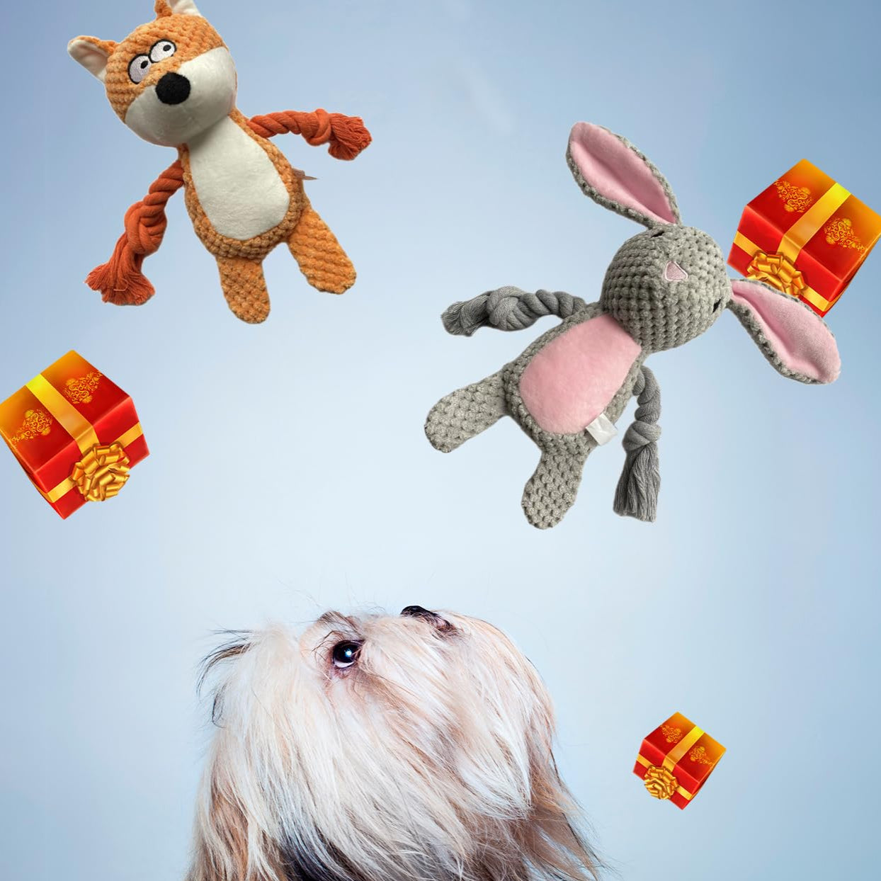 Juguete Chirriante Para Perros