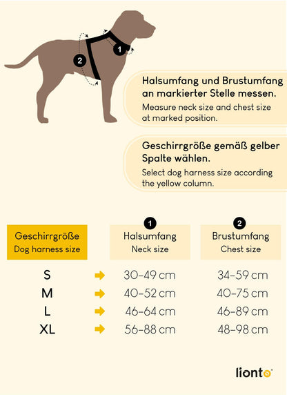 Arnés de Seguridad para Perros lionto – Reflectante, Antitirones y Ajustable, Talla S, Beige - Creapet Studio