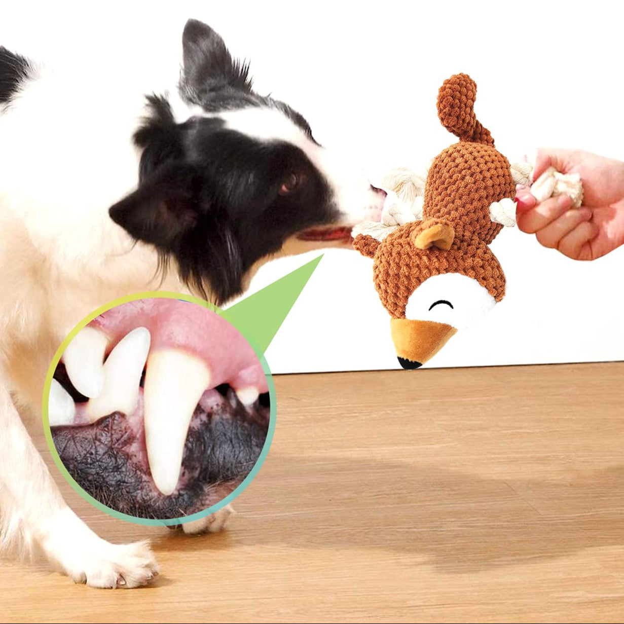 Juguetes para Perros Sonido Resistentes Interactivos